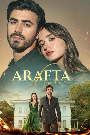 Арафта - 1 Сезон 25 серия